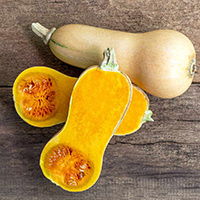 Butternut Squash
