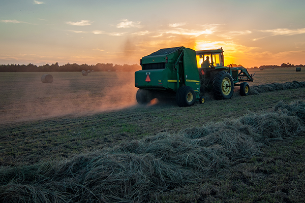 Tractor in the field